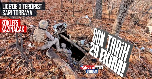 Son dakika: Hedef 29 Ekim 2023: Lice kırsalında 3 terörist öldürüldü!
