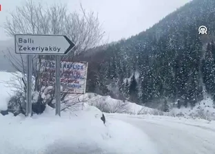 Artvin’de 3 çoban çığ altında kaldı - VİDEO