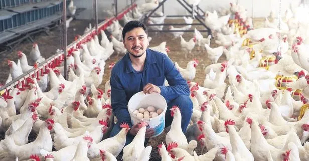 Mühendisliği bırakıp tavuk çiftliği kurdu
