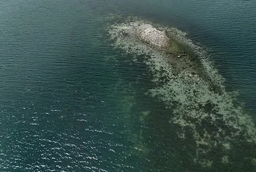 Sapanca Gölü alarm veriyor!