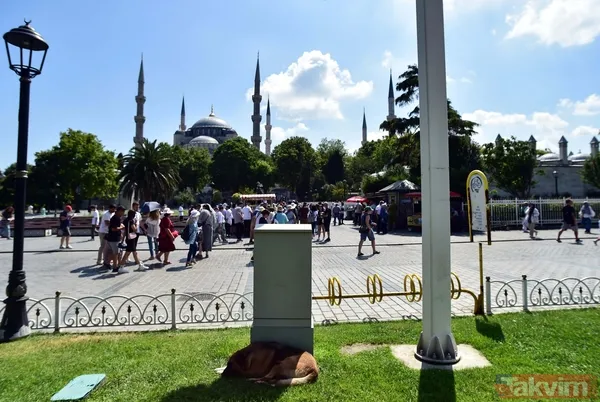 Uzmanlardan aşırı sıcak uyarısı: İstanbul'da dereceler çıldıracak! - 21