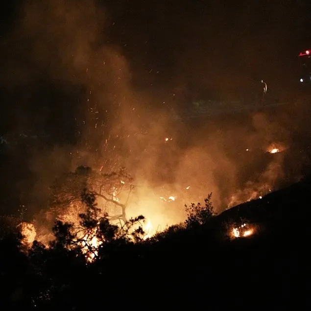 İzmir Aliağa ve Foça’da yangın çıktı