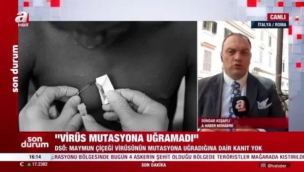 Maymun çiçeği virüsü mutasyona uğramadı