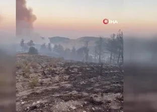 Afyonkarahisar’da orman yangını çıktı!