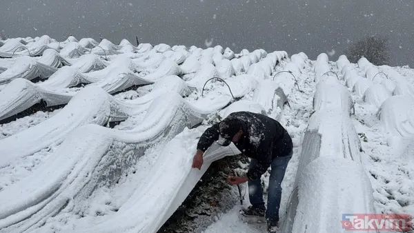 Samsun'da Kar Altında Yetişiyor! Bu Hasada Talep Yağıyor - 5