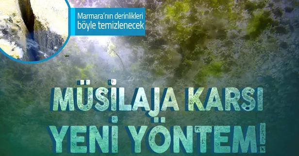 Müsilaja karşı yeni yöntem! Denizin derinlikleri böyle temizlenecek