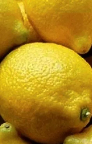 Bahçede 1 tezgahta 10 TL