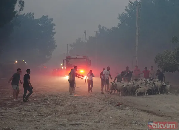 İzmir'deki yangın kontrol altına alındı! Bakan Yumaklı bölge bölge son durumu açıkladı - 14