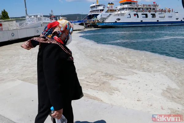 Müsilaj (deniz salyası) ticareti de etkiledi! Balık satışları durdu - 13