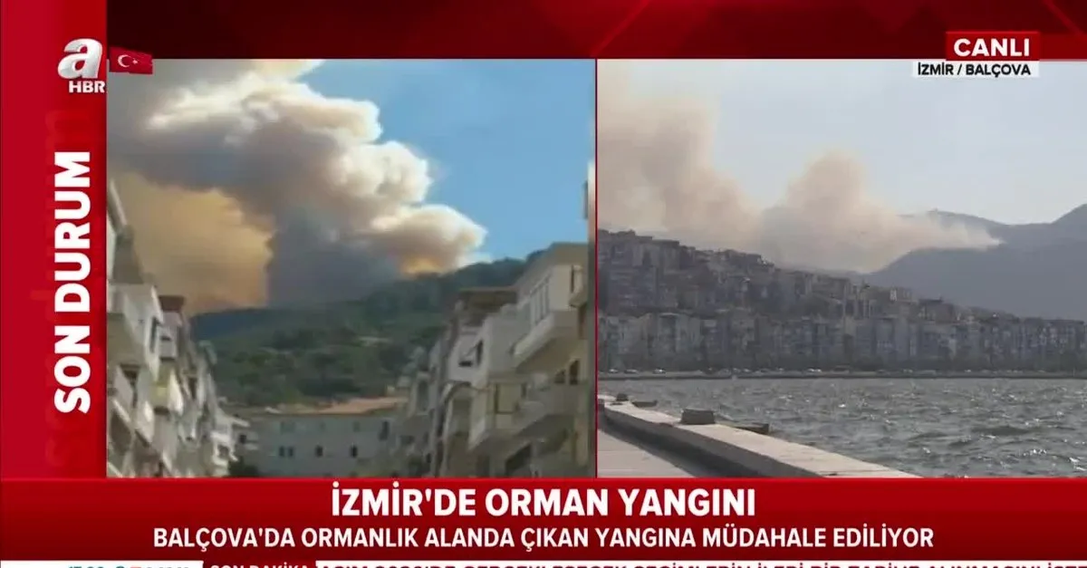 Son Dakika Izmir De Balcova Da Orman Yangini Takvim