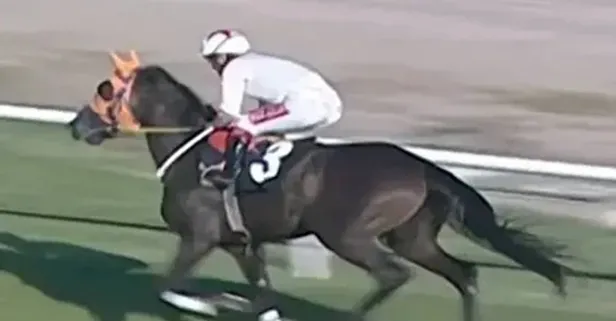 Barınak yapana saldıranlar at kesenlere suskun! Mersin skandalının üç maymunları | Hani hayvanseverdiniz?