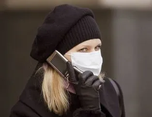 Domuz gribine kokulu kalkan