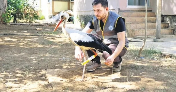 3 boyutlu yazıcıdan leyleğe bacak