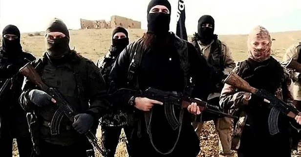 DEAŞ'a darbe! Kilit ismin kardeşleri yakalandı
