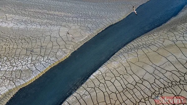 Aşırı sıcakların sebebi belli! Dünya Hava Durumu İlişkilendirmesi o konuda uyarı yaptı | 4 kat arttı! - 5