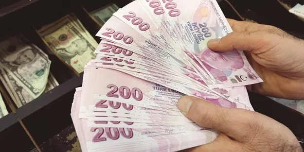 Köyüne dönene 100 bin lira hibe nasıl alınır? İşte başvuru şartları ve koşulları tarimorman.gov.tr sayfasında-2