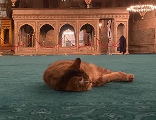 Gli, Ayasofya Camisi’ne kavuştu