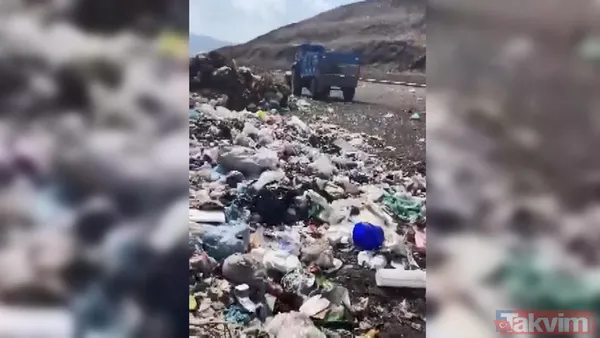 Bingöl Karlıova'da dehşet görüntü! Köpekler iple birbirine bağlanıp çöplüğe bırakıldı - 2