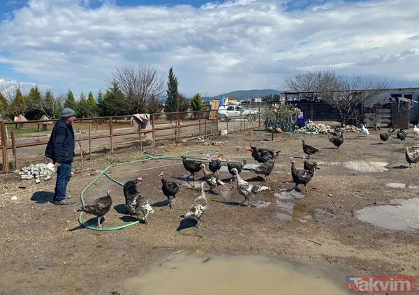 Tanesi 7 TL'ye yumurta! Yere atıldığında bile kolay kolay kırılmıyor - 4