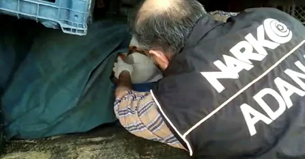 Sebze kasalarına gizlenen 113 kilo esrarı 'Uzi' buldu