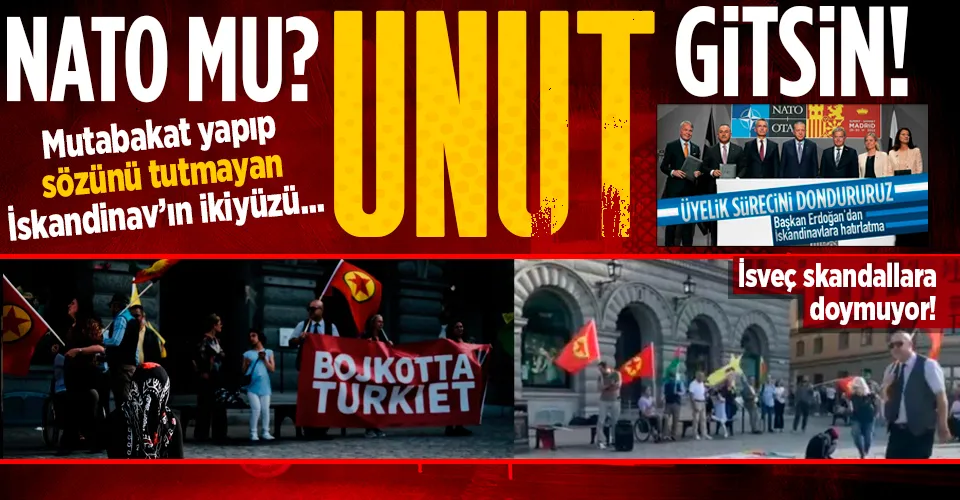 Dışişleri Bakanı Mevlüt Çavuşoğlu: İsveç ve Finlandiya ile ilk toplantı 26 Ağustos'ta-3