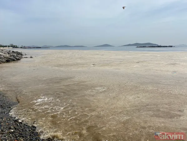 İstanbul Fenerbahçe Sahili deniz salyası kaplandı - 12