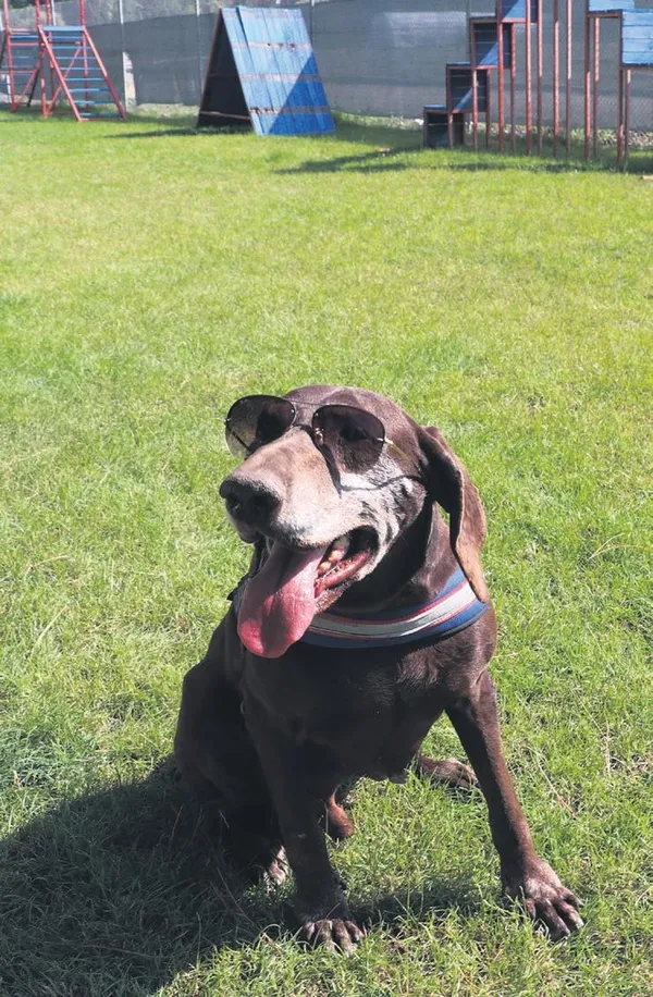 Mersin'de 5 katlı binanın çatısından sarkan bir kişi yürekleri ağza getirdi (Yaşam haberleri)-3