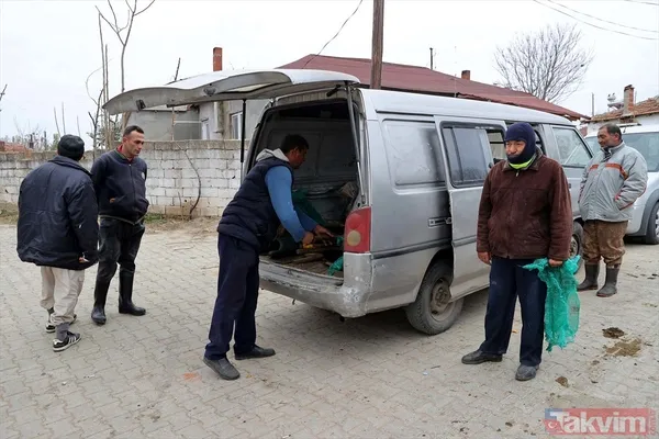 Günlük 900 lira kazanıyorlar! Türkiye'nin birçok ilinden toplanan kurbağalar Avrupa'ya ihraç ediliyor - 43