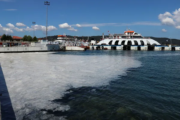 Marmara'daki müsilaj Ege Denizi'ne yayılır mı?-2