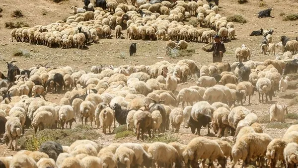 5000-tl-destekle-is-imkani-turkiyenin-her-yerinde-gecerli-almak-icin-bunlari-yapmayi-unutmayin-1613741400181.jpg 5.000 TL destekle iş imkanı! Türkiye’nin her yerinde geçerli! Almak için bunları yapmayı unutmayın…-6