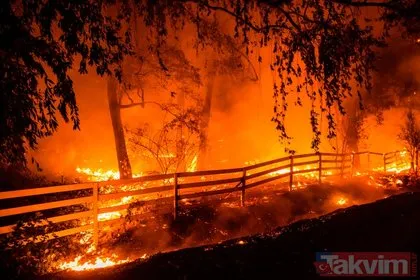 California’daki yangın LeBron James’i de vurdu