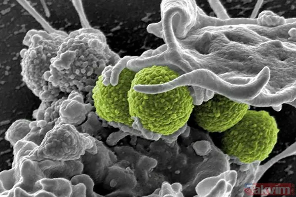 Antibiyotik krizi! Uzmanlar uyardı: 2050’ye kadar 39 milyon insan ölecek - 5