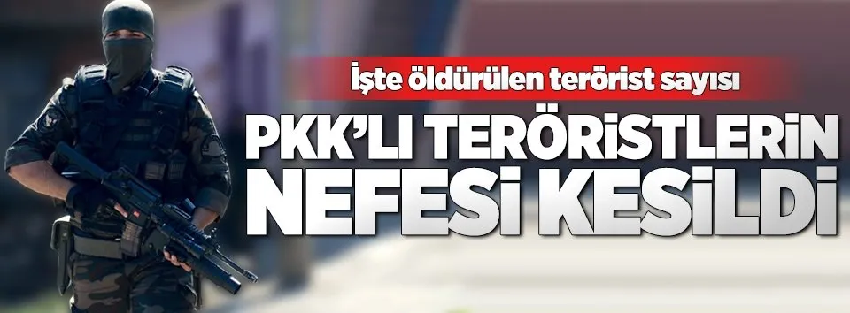 TSK: 186 terörist etkisiz hale getirildi