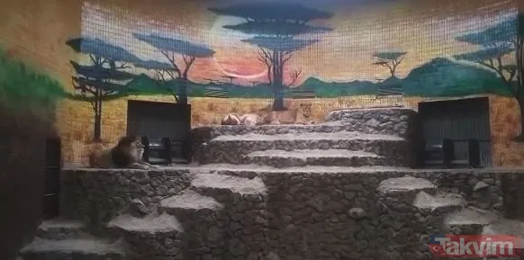 Buğday değil ölüm tarlası! Askerleri öldürüp servis ettiler! Rusya-Ukrayna savaşında çarpıcı kareler... - 34