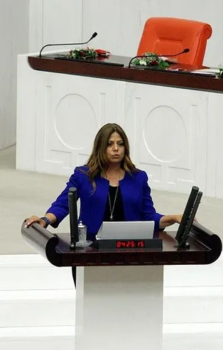 CHP eski İzmir Milletvekili Zeynep Altıok'a "Cumhurbaşkanına hakaret" suçundan 11 ay 20 gün hapis cezası