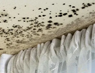 Rüyada küf görmek ne anlama gelir?