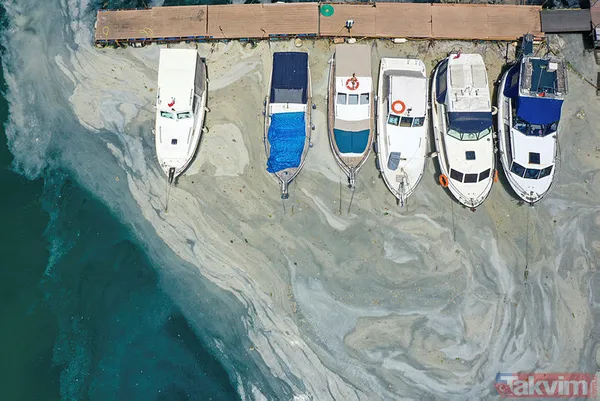 Marmara müsilaj işgalinde! Felaket 2 yıl önce geliyorum demiş! O rapor ortaya çıktı! - 21