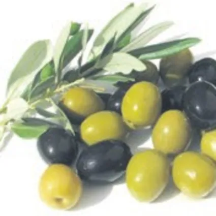Kansızlığa zeytin yeter