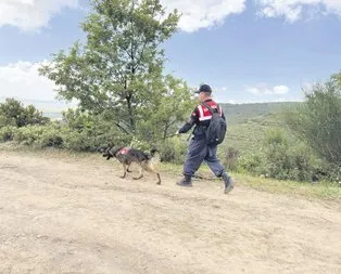 Kafatası aranıyor