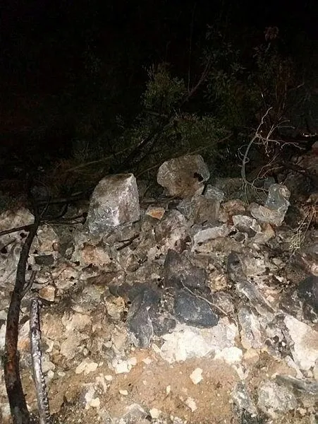 Antalya'daki orman yangının ardından bir şüpheli paketlendi!-2