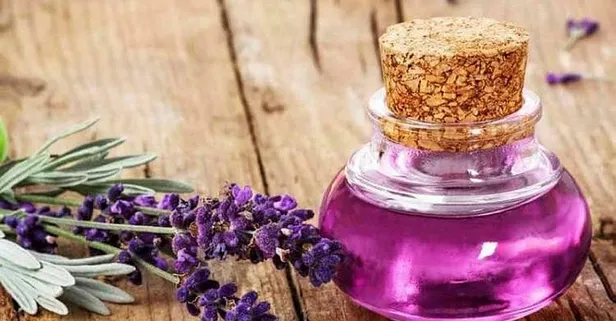 800 liralık lavantadan 20 bin TL’lik yağ