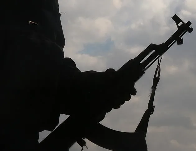 Hollandalı gazeteciden Batı’ya PKK eleştirisi