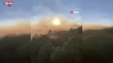 İvrindi'de korkutan orman yangını