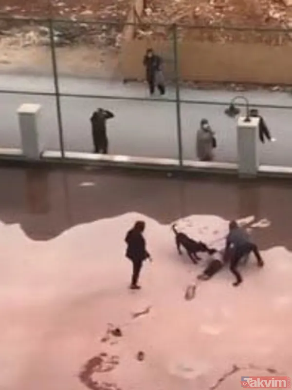 Pitbull saldırısına uğrayan Asiye Ateş Antalya'ya getirildi! Başkan Erdoğan bizzat ilgilendi: Asiye'nin tedavisini Prof. Ömer Özkan yapacak - 2