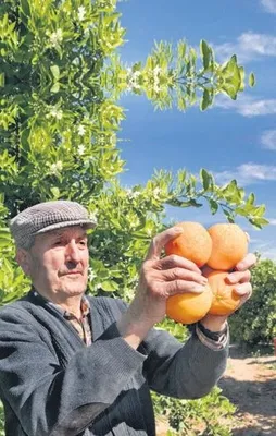 Tarıma 6.7 milyarlık hibe