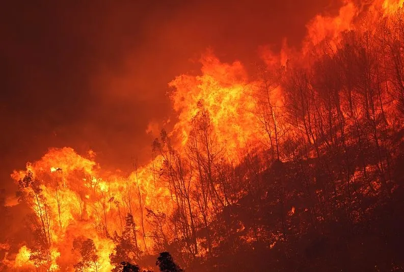 İşte felaketin boyutu!
