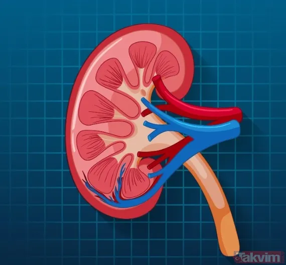 43 yaşındaki 3 çocuk babası Paul Souter'ın spor sakatlığı sandığı sırt ağrısı böbrek kanseri çıktı - 7
