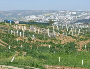 Gates’in Trakya’dan arazi aldığı söylentisi fırsatçıları harekete geçirdi!