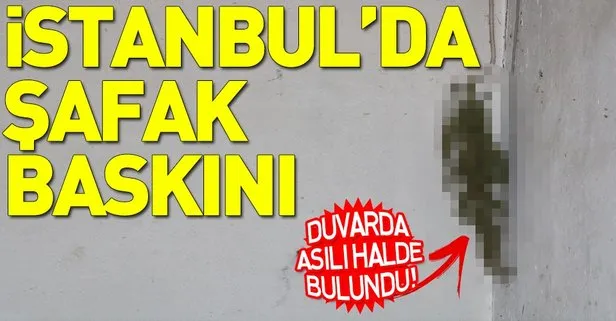 İstanbul’da şafak operasyonu! Zehir tacirleri gözaltında