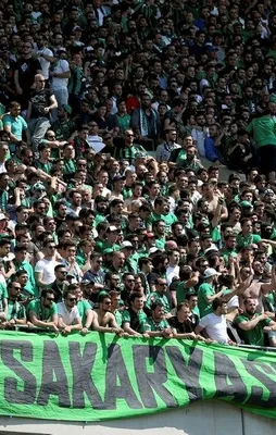Sakaryaspor 2. Lig'e yükseldi